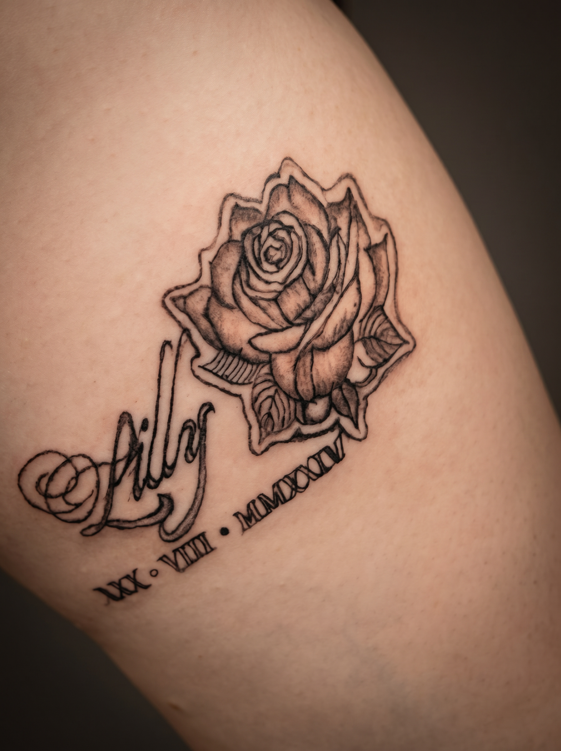 Lily — memorial rose